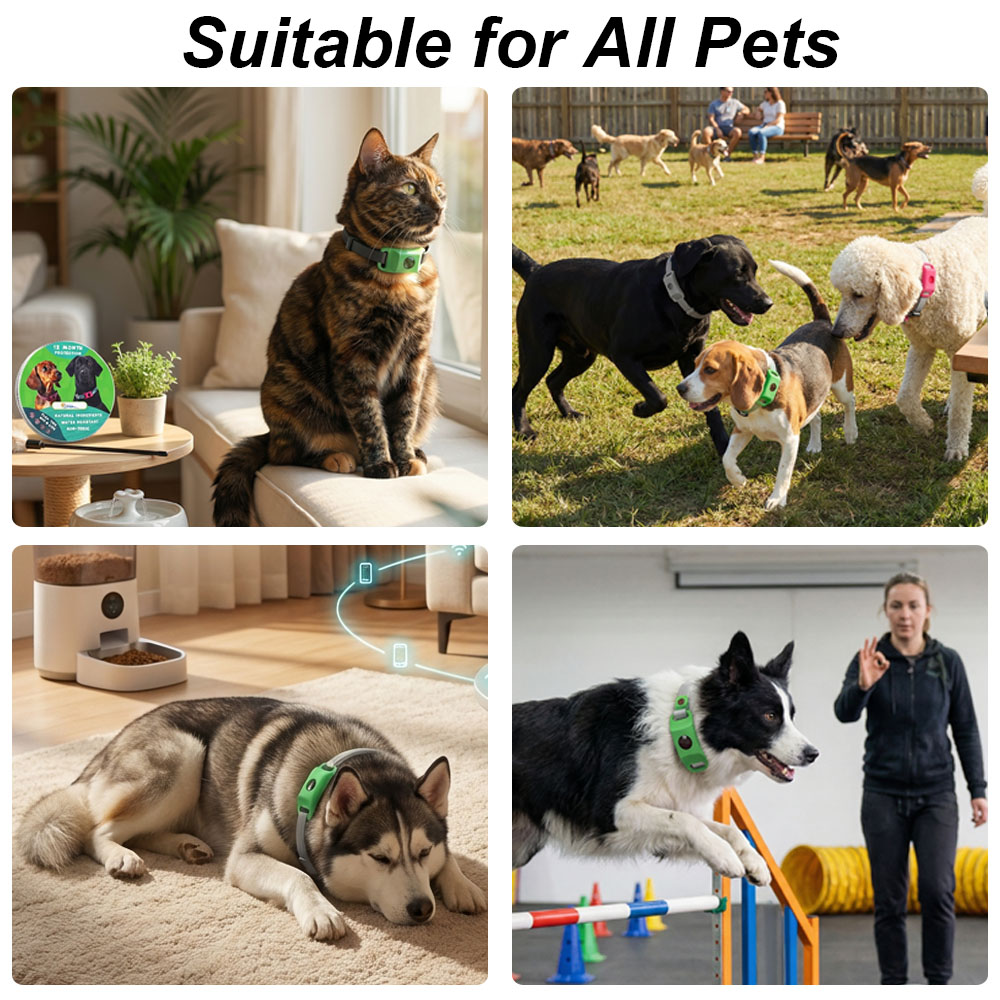 Durable Pet Safety Protection  - đánh giá và giá Outdoor Adventure Activities