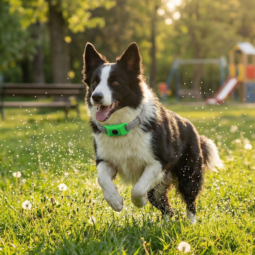 Durable Pet Safety Protection  - đánh giá và giá Outdoor Adventure Activities